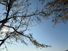 -广州市石门国家森林公园