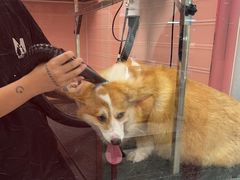 -FAELING PETS美天灵宠物(合生汇店)
