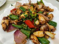 酱炒鱿鱼-新享乐海鲜(翠华路店)