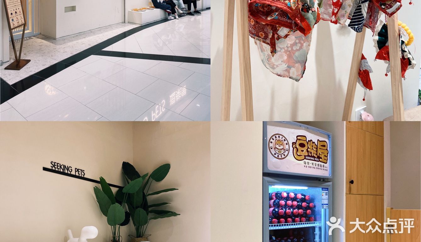 🐶超治愈柴犬咖！一起来撸奶fufu的柴柴吧