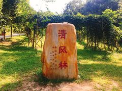 -田心森林公园