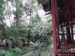 -青城甲(青城山店)