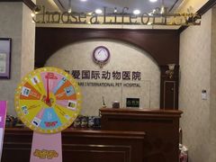 -宠爱国际动物医院· 猫科· 外科·中兽医(长白店)