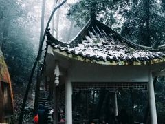 -缙云山景区