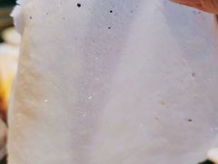 -丝恋丝娃娃(逸天城国贸店)