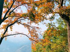 -广州市石门国家森林公园