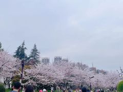 -堤角公园