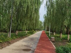 -绿堤公园