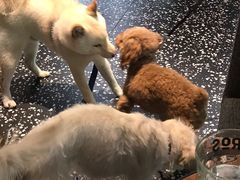 -Moka Bros 摩卡站(嘉华店)