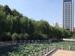 -后襄河公园