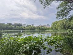 -WhaleSports户外水上运动俱乐部(朝阳公园店)