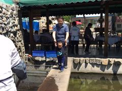 -京北渔家傲