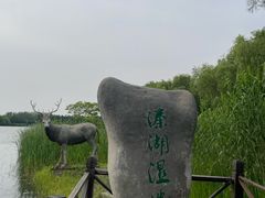 -溱湖国家湿地公园