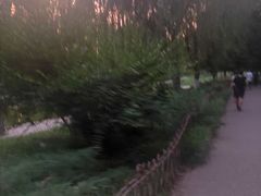 -丰台科技园生态主题公园
