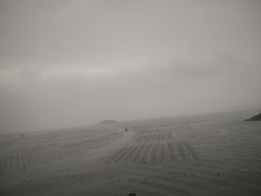 -北岐滩涂