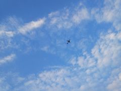 景点-宝安西湾红树林湿地公园