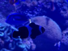-青岛海底世界-水族馆