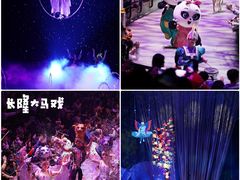 -广州长隆国际大马戏
