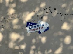 -富斯特索道