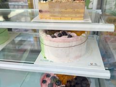 -维尔纳斯·生日蛋糕动物奶油冰淇淋蛋糕(人大店)