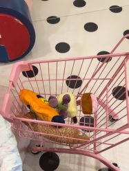 -MELAND CLUB亲子乐园·派对·餐厅(北京芳圆里ID MALL店)