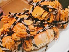 -上海龙之梦万丽酒店