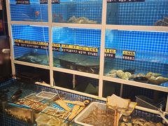 水产区-金龙·打边炉(南京西路店)