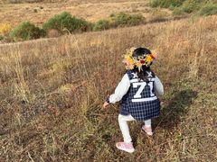-御道口草原森林风景区