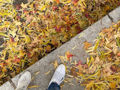 -元大都城垣遗址公园