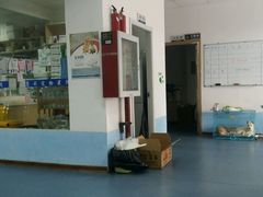 android_upload_pic-康成宠物医院24H·CT·核磁共振