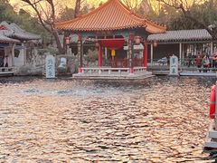 -环城公园