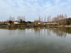 -上海长兴岛郊野公园