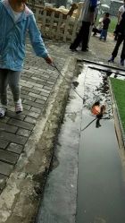 -上美四季动物农场