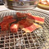 大口吃肉的感觉实在太妙了！