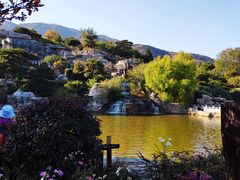 -北京西山国家森林公园