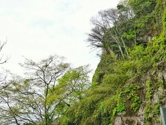 -福建泉州仙公山风景名胜区