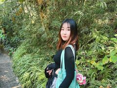 -野象谷景区