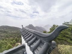 -秦岭天竺山生态文化旅游景区
