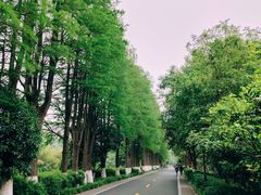 -西溪国家湿地公园
