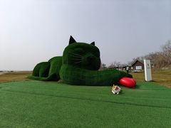 -宠福鑫康馨动物医院·骨科·眼科