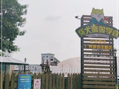 -柴犬高等学院·狗咖·柴犬售卖·宠物训练