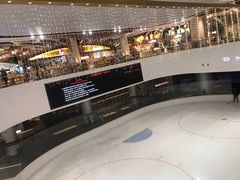 -TheRink大零溜冰场(IFS国金中心店)