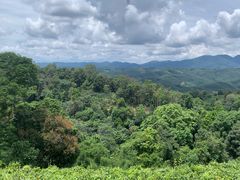 -西双版纳基诺山寨