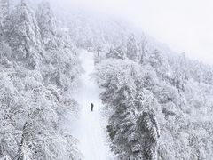 -峨眉山风景名胜区