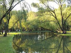 -上海共青森林公园