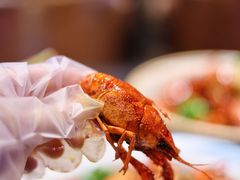 -虾乐园龙虾·夜宵(松江店)