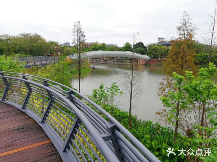 怡海公园(桂城街道)图片