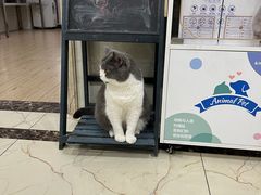 -派特宠物医院(圆融广场店)