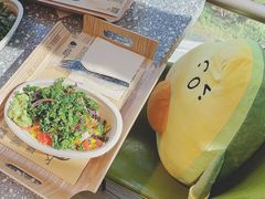 -油梨树AVOCADO TREE(望京店)
