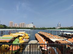 -莲花池公园